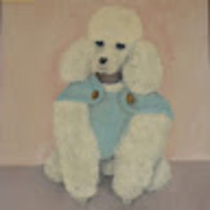 Meet your Posher, Katy